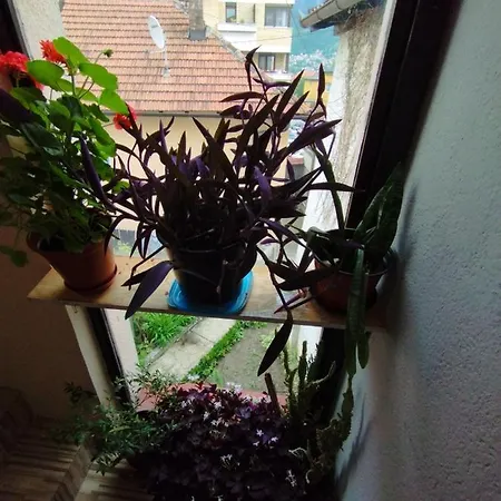 Apartman Ajan *